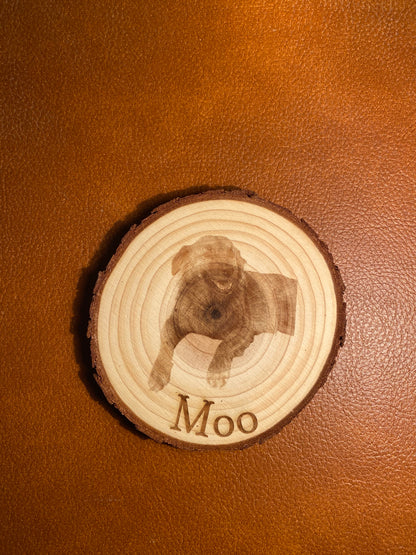 Custom Pet Photo Coaster